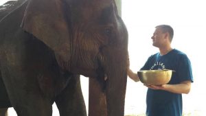 Elephant and Sound Vibration Therapy